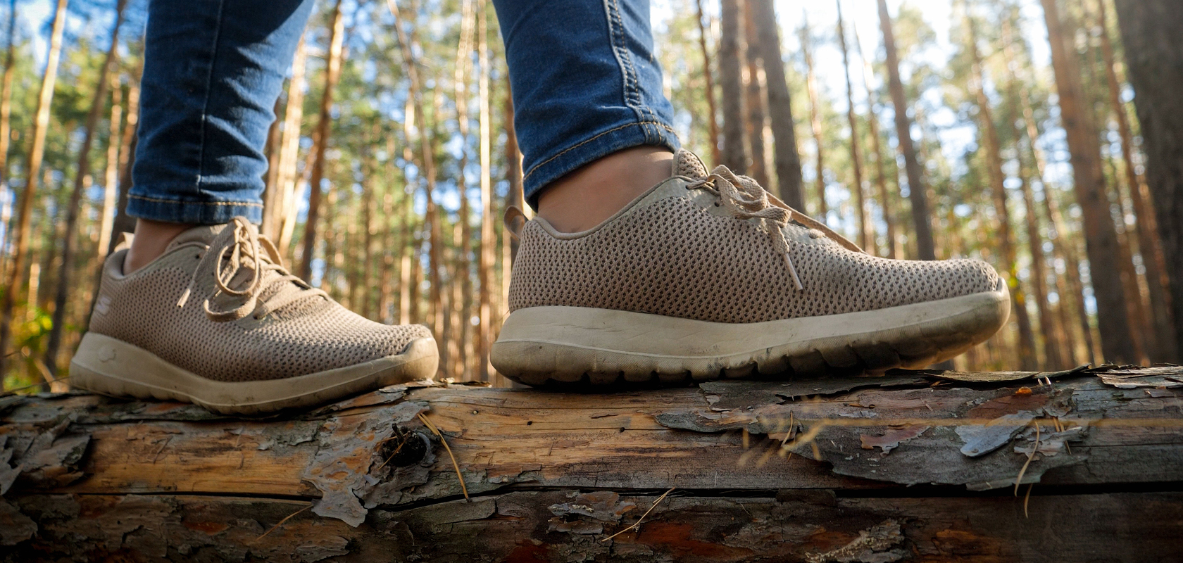 Close-up of person with hiking shoes walking in woods