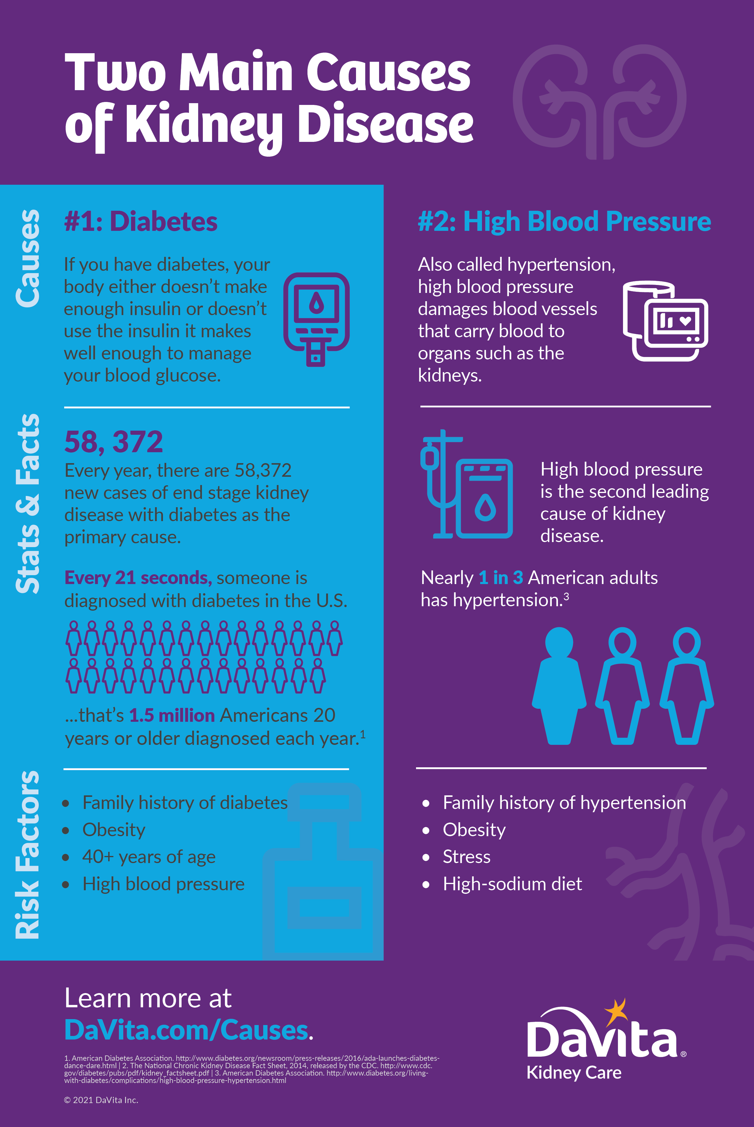 causes of chronic kidney disease infographic blue on purple